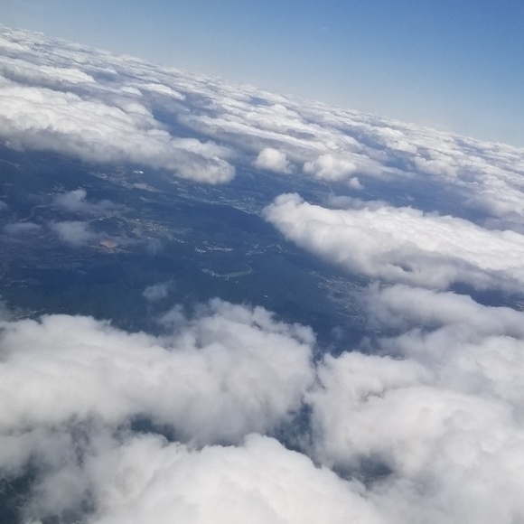 Meet your Posher, Emma - Picture 1 of 1